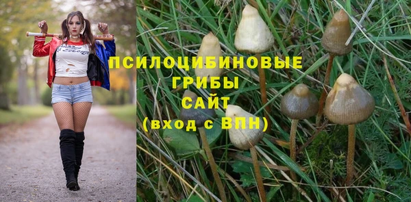 сатива Арсеньев