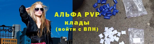 индика Армянск