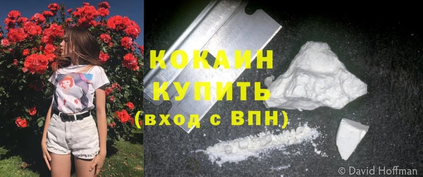 индика Армянск