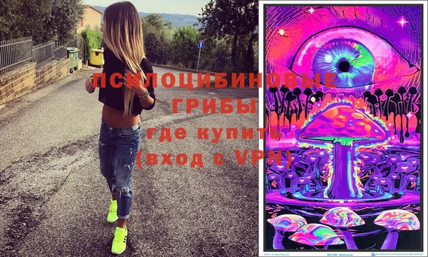 индика Армянск