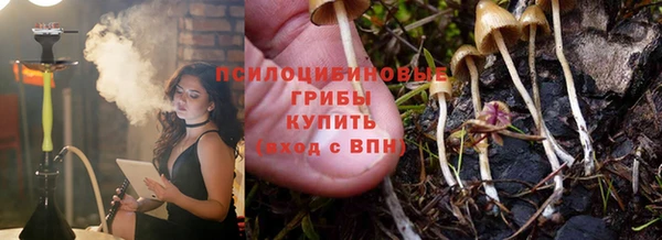 индика Армянск
