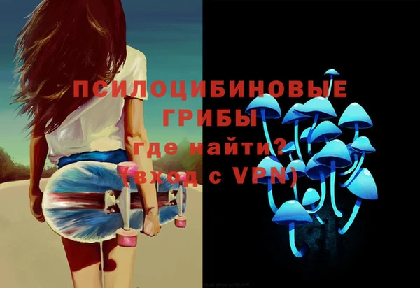 индика Армянск