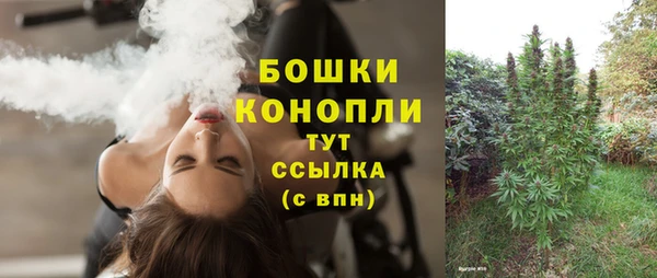 сатива Арсеньев